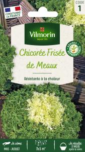 Chicorée Frisée de Meaux